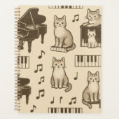 Kat Planner op een Vervaaide Piano (Voorkant)