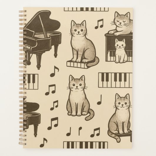 Kat Planner op een Vervaaide Piano (Voorkant)
