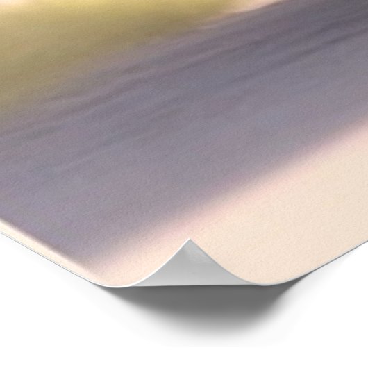 Kat pluizige staarten poster (Hoek)