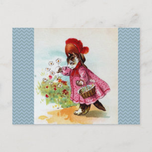 Kat-plukkers Briefkaart