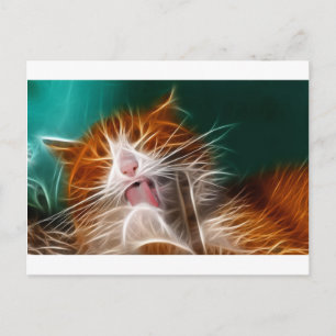 kat poesje katjes schattig huisdier spinnen miauw briefkaart
