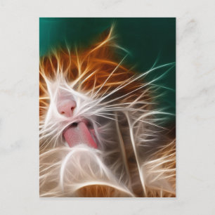 kat poesje katjes schattig huisdier spinnen miauw briefkaart