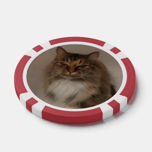Kat Poker Chips (Enkel)