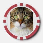 Kat Poker Chips (Voorkant)