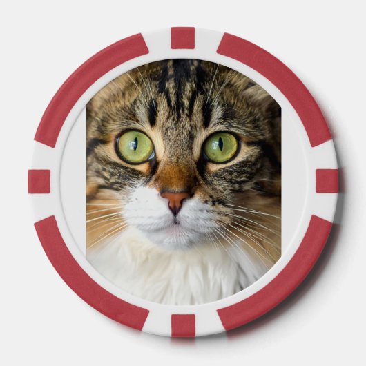 Kat Poker Chips (Voorkant)