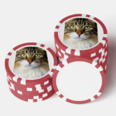Kat Poker Chips (Opstapeling)