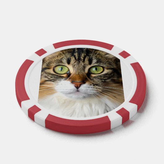 Kat Poker Chips (Enkel)