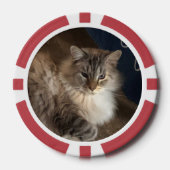 Kat Poker Chips (Voorkant)