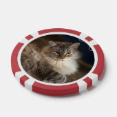 Kat Poker Chips (Enkel)