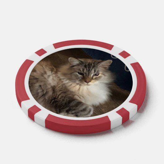 Kat Poker Chips (Enkel)