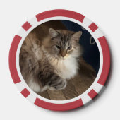 Kat Poker Chips (Achterkant)