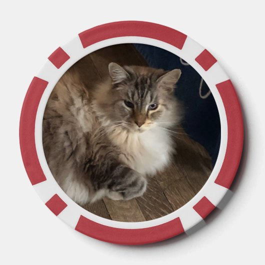 Kat Poker Chips (Achterkant)