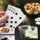 Kat Pokerkaarten (Insitu)