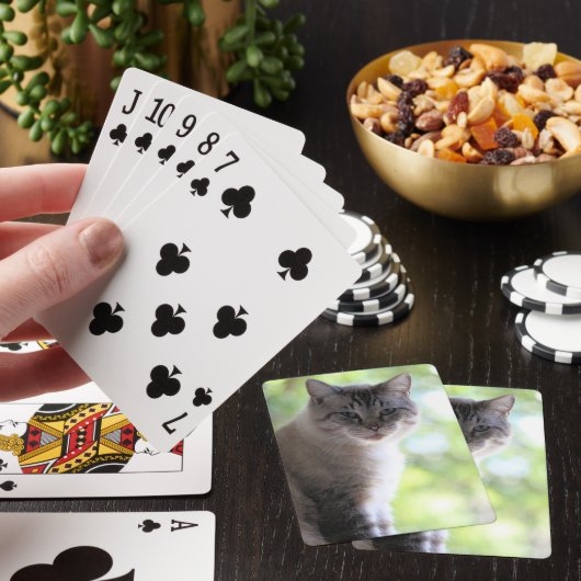 Kat Pokerkaarten (Insitu)