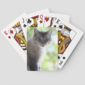 Kat Pokerkaarten (Achterkant)