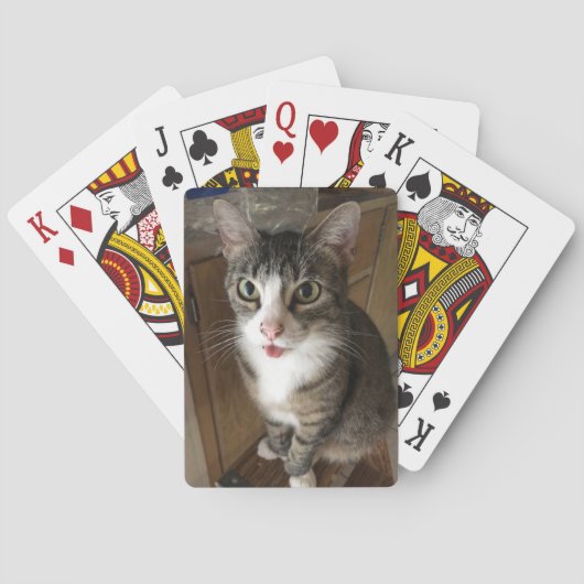 Kat Pokerkaarten (Achterkant)