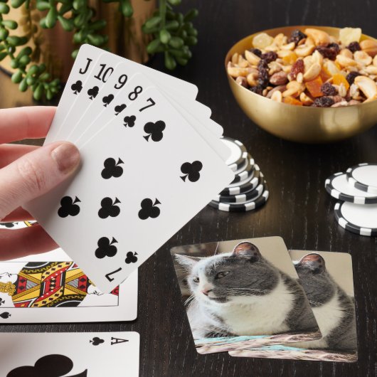Kat Pokerkaarten (Insitu)