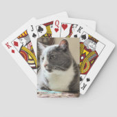 Kat Pokerkaarten (Achterkant)