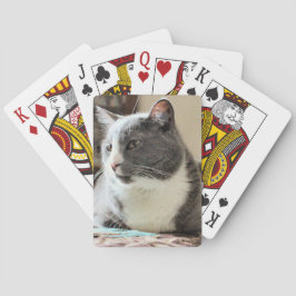 Kat Pokerkaarten