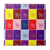 Kat-pop glimlachen tegeltje (Voorkant)