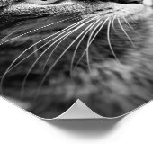 Kat portret - de denker poster (Hoek)