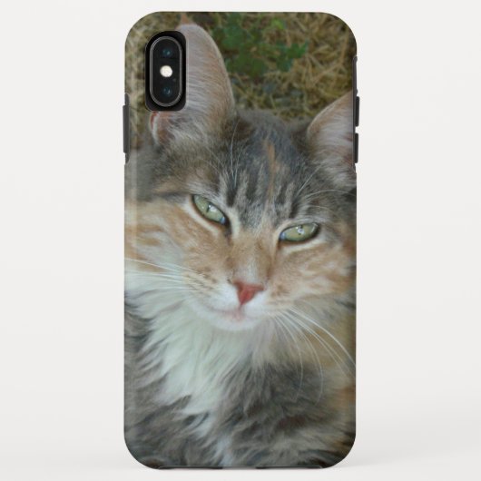 Kat portret 😺 telefoondraagtas Case-Mate iPhone case (Achterkant)