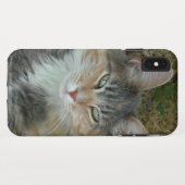 Kat portret 😺 telefoondraagtas Case-Mate iPhone case (Achterkant (horizontaal))