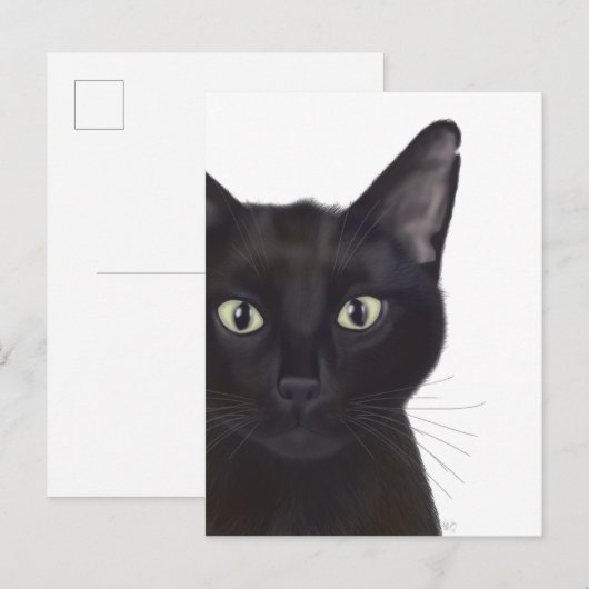 Kat, portret van Gus Briefkaart (Voorkant / Achterkant)