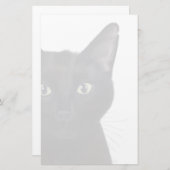 Kat, portret van Gus Briefpapier (Voorkant / Achterkant)