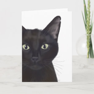 Kat, portret van Gus Kaart