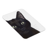 Kat, portret van Gus Magneet (Rechterzijde)