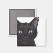 Kat, portret van Gus Magneet (Voorkant / Achterkant)