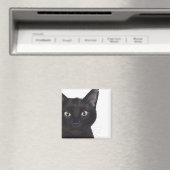 Kat, portret van Gus Magneet (Insitu (Vaatwasser))