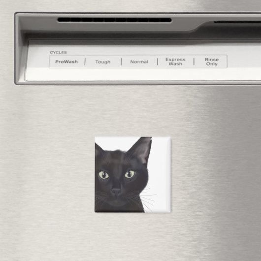 Kat, portret van Gus Magneet (Insitu (Vaatwasser))