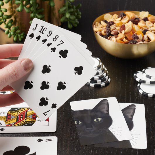 Kat, Portret van Gus Pokerkaarten (Insitu)