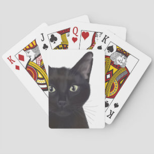 Kat, portret van Gus Pokerkaarten