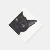 Kat, portret van Gus Servet (Hoek)