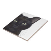 Kat, portret van Gus Tegeltje (Zijkant)