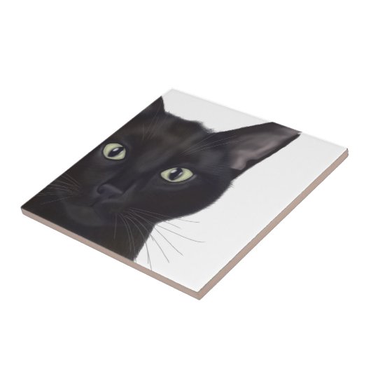 Kat, portret van Gus Tegeltje (Zijkant)