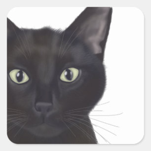 Kat, portret van Gus Vierkante Sticker