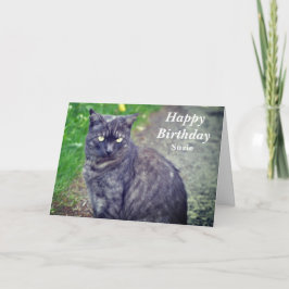 Kat Poseren in Zittende Positie Gelukkige Verjaard Kaart