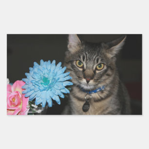 Kat Poses met bloemen Stickers