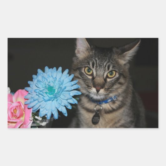 Kat Poses met bloemen Stickers (Voorkant)