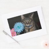 Kat Poses met bloemen Stickers (Envelop)
