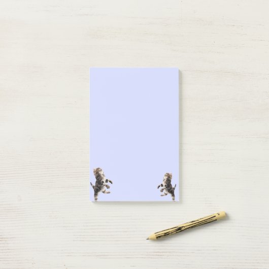 Kat Post Het Nota's Post-it® Notes (Op bureau)