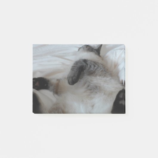 Kat Post-it® Notes (Voorkant)