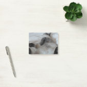 Kat Post-it® Notes (Kantoor)