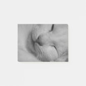 Kat Post-it® Notes (Voorkant)