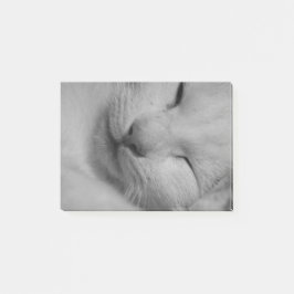 Kat Post-it® Notes