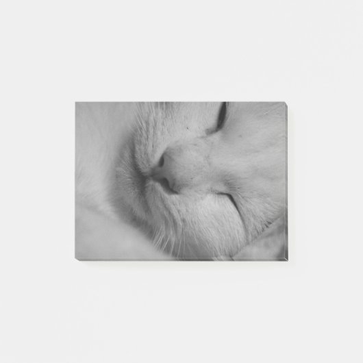 Kat Post-it® Notes (Voorkant)